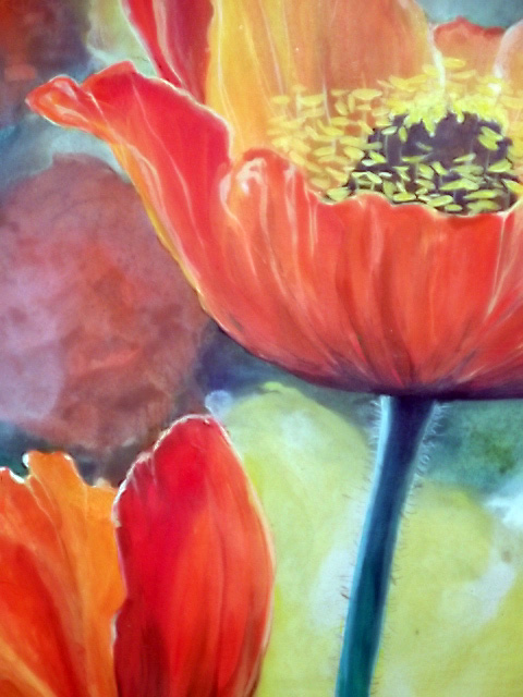Poppies